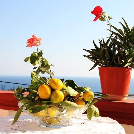 Alvanita Apartments Ulcinj Exterior photo