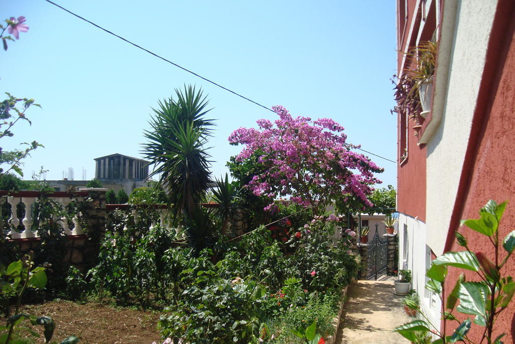 Alvanita Apartments Ulcinj Exterior photo
