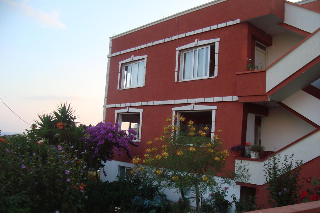 Alvanita Apartments Ulcinj Exterior photo